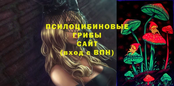 крисы Михайловск