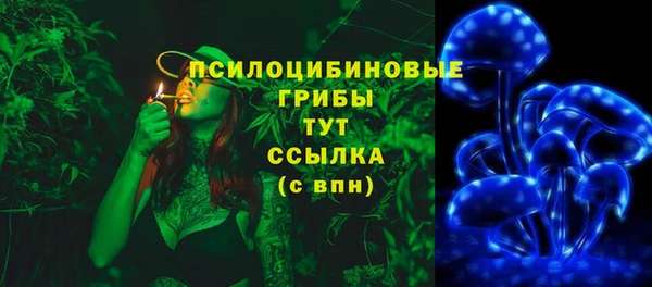 бошки Михайлов