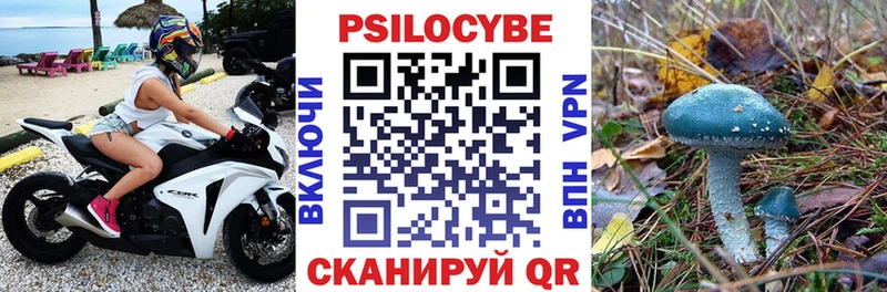 кракен   даркнет сайт  Кисловодск  Псилоцибиновые грибы мухоморы 