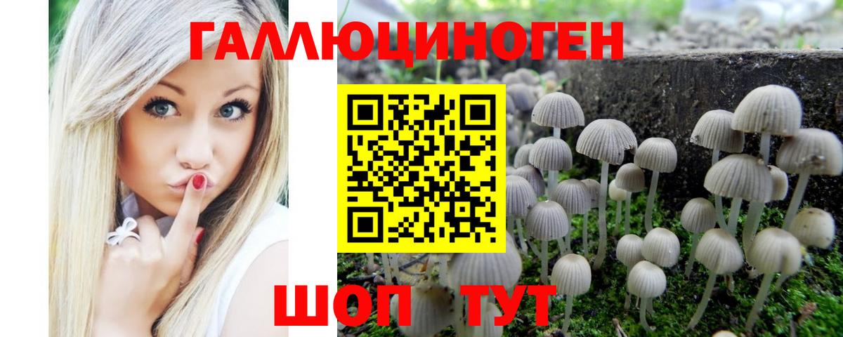 Галлюциногенные грибы Cubensis  Вход с VPN  Кисловодск  купить наркоту  Галлюциногенные грибы прущие грибы 